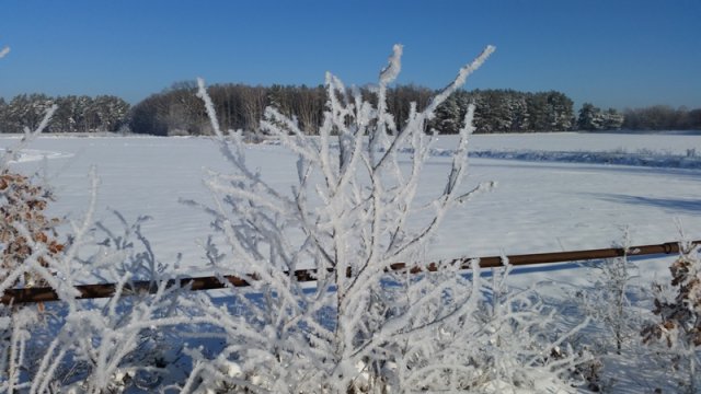 2021_01_31_Schneefliegen (01)